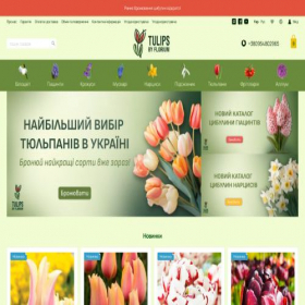Скриншот главной страницы сайта tulips.com.ua
