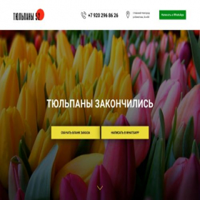 Скриншот главной страницы сайта tulpani52.ru