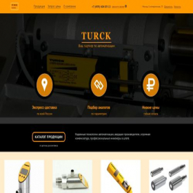 Скриншот главной страницы сайта turck-russia.ru