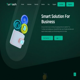 Скриншот главной страницы сайта turhash.com