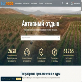 Скриншот главной страницы сайта turnado.net