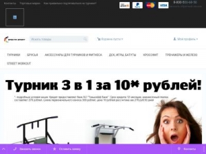 Скриншот главной страницы сайта turnik-doma.pro