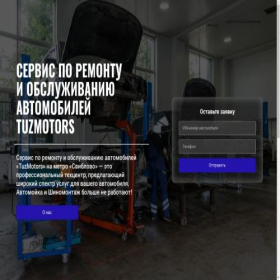 Скриншот главной страницы сайта tuzmotors.ru
