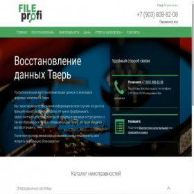 Скриншот главной страницы сайта tver.fileprofi.ru