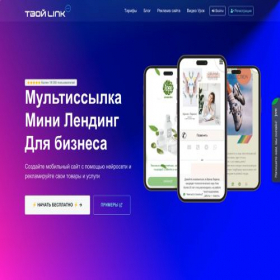 Скриншот главной страницы сайта tvoylink.ru
