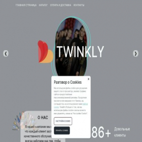 Скриншот главной страницы сайта twinklygroup.ru