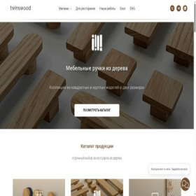 Скриншот главной страницы сайта twinswood.ru