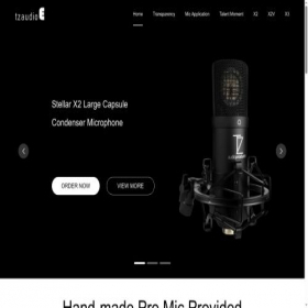 Скриншот главной страницы сайта tzaudioe.co