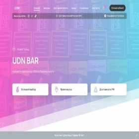Скриншот главной страницы сайта udnglobal.ru