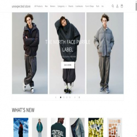 Скриншот главной страницы сайта unexpected-store.com