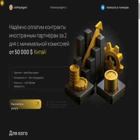 Скриншот главной страницы сайта unipayagent.ru