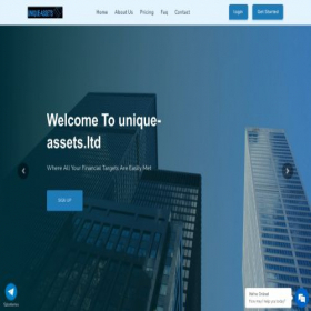 Скриншот главной страницы сайта unique-assets.ltd