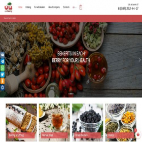 Скриншот главной страницы сайта uralberry.ru