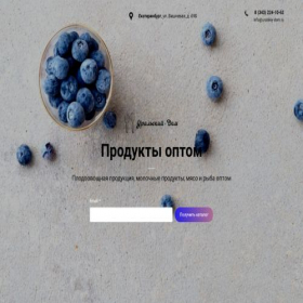 Скриншот главной страницы сайта uralskiy-dom.ru
