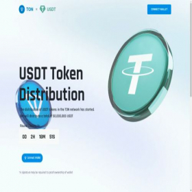 Скриншот главной страницы сайта usdthold.com