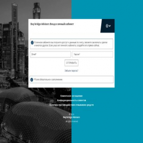 Скриншот главной страницы сайта user.baybridge-advisors.com