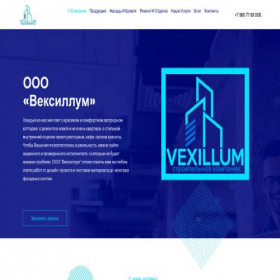 Скриншот главной страницы сайта v-mspb.ru