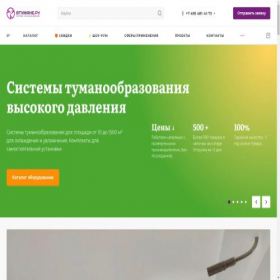 Скриншот главной страницы сайта v-tumane.ru