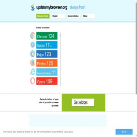 Скриншот главной страницы сайта v1.updatemybrowser.org