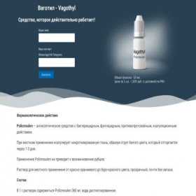 Скриншот главной страницы сайта vagothyl.ru