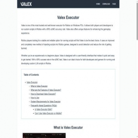 Скриншот главной страницы сайта valexexecutor.com