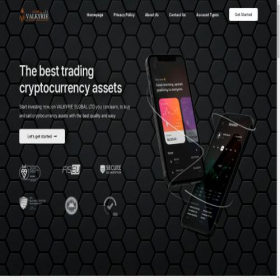 Скриншот главной страницы сайта valkyrieglobal.ltd