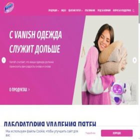Скриншот главной страницы сайта vanish.ru