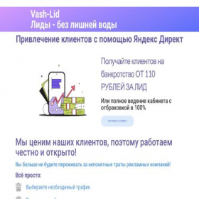 Скриншот главной страницы сайта vash-lid.ru