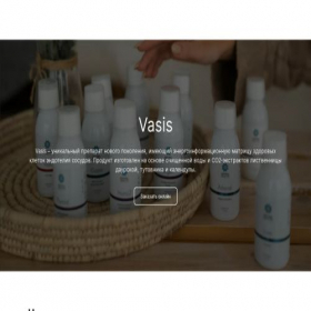 Скриншот главной страницы сайта vasiss.lpmotortest.com