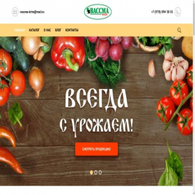 Скриншот главной страницы сайта vassma-krym.ru