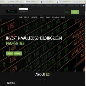 Скриншот главной страницы сайта vaultedgeholdings.com