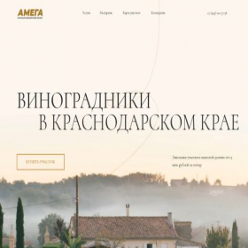 Скриншот главной страницы сайта vd.amega-gektar.ru