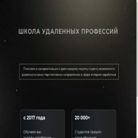 Скриншот главной страницы сайта vebinars-school.ru