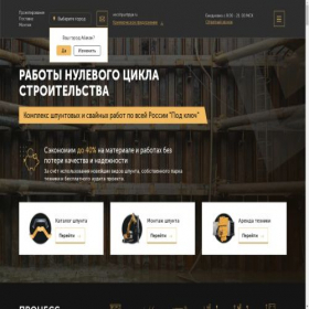 Скриншот главной страницы сайта vector-shpunt.ru