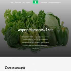 Скриншот главной страницы сайта vegagardenseeds24.site