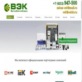 Скриншот главной страницы сайта vekdv.ru