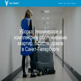 Скриншот главной страницы сайта veles-spb24.ru