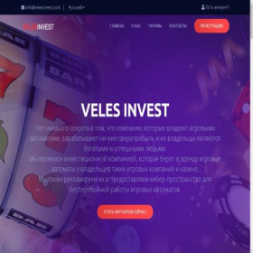Скриншот главной страницы сайта velesinvest.com