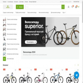 Скриншот главной страницы сайта velo-koleso.ru