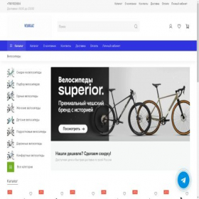 Скриншот главной страницы сайта veloglaz.ru