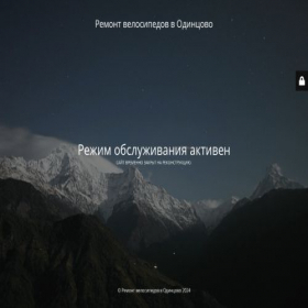 Скриншот главной страницы сайта velogrom.ru