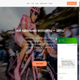 Скриншот главной страницы сайта veloshoym.ru