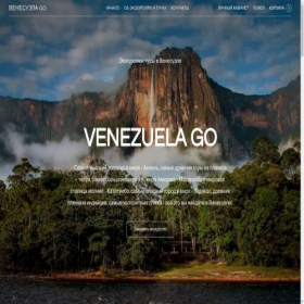 Скриншот главной страницы сайта venezuelago.company.site