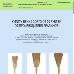 Скриншот главной страницы сайта veniksorgo.com