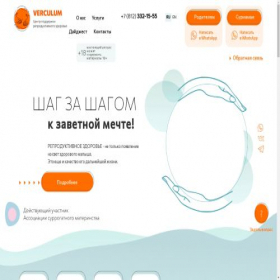 Скриншот главной страницы сайта verculum.life