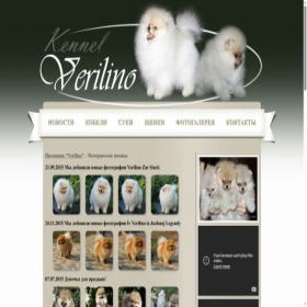 Скриншот главной страницы сайта verilino.ru
