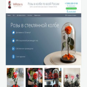 Скриншот главной страницы сайта veroza.ru