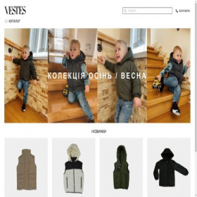 Скриншот главной страницы сайта vestes.com.ua