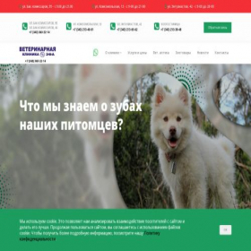 Скриншот главной страницы сайта vet-efa.ru