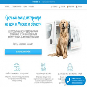 Скриншот главной страницы сайта vetcp.ru